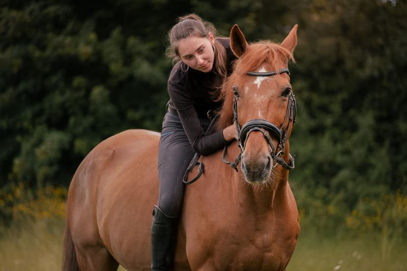 Portraits lifestyle & chevaux <3