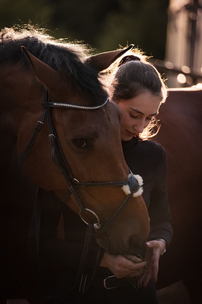 Portraits lifestyle & chevaux <3