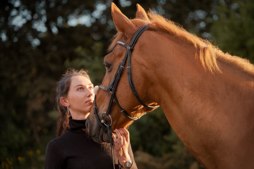 Portraits lifestyle & chevaux <3