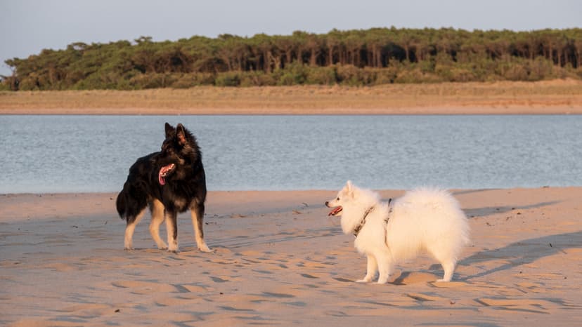 chloe-mat-web-22_bqoecd